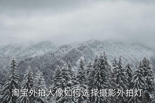 熱靴燈功率怎么樣，淘寶外拍人像如何選擇攝影外拍燈...